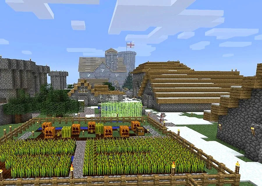 Minecraft dünyasında bir köy — sunucuya bağlanınca karşılaşılan manzara