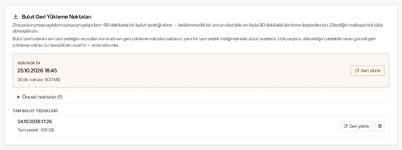 Yedekler bölümündeki Bulut Geri Yükleme Noktaları kartı: son nokta, önceki noktalar ve tam bulut yedekleri