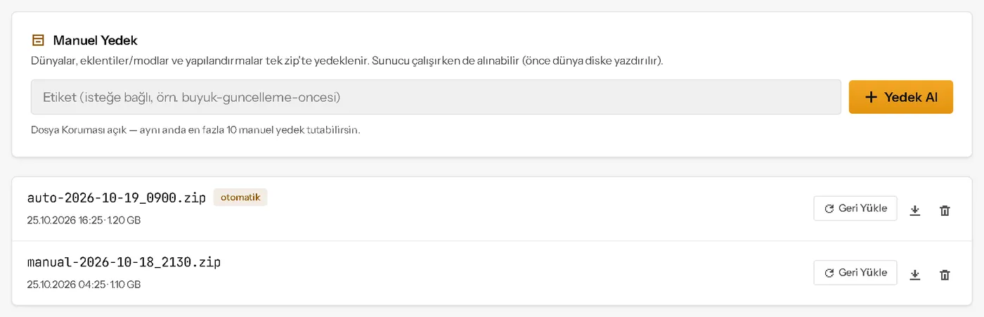 Panelin Yedekler bölümü: Manuel Yedek kartı, etiket kutusu ve Yedek Al düğmesi, altında Geri Yükle düğmeli yedek listesi